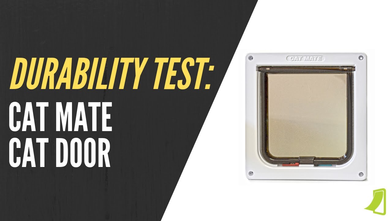 Durability Test & Review: Cat Mate Cat Door
