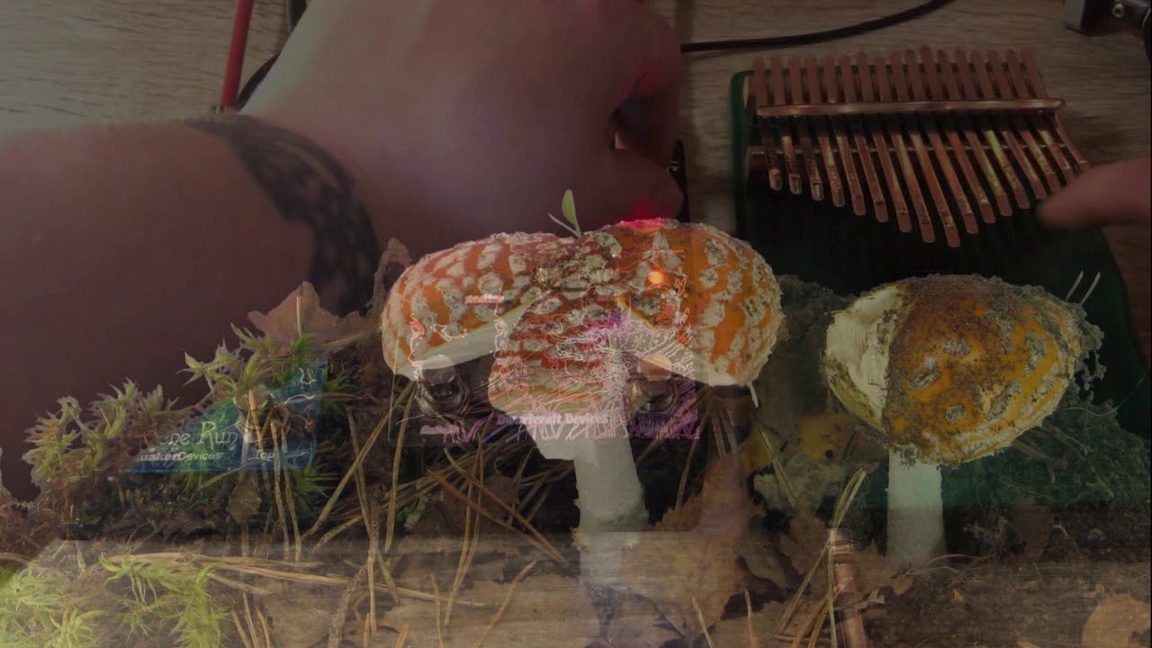 Dwarfcraft Devices - Witchshifter