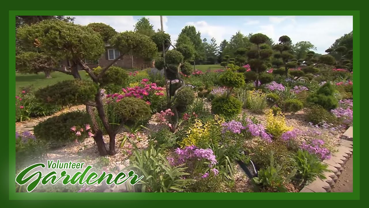 Plant Lover's Paradise | Volunteer Gardener