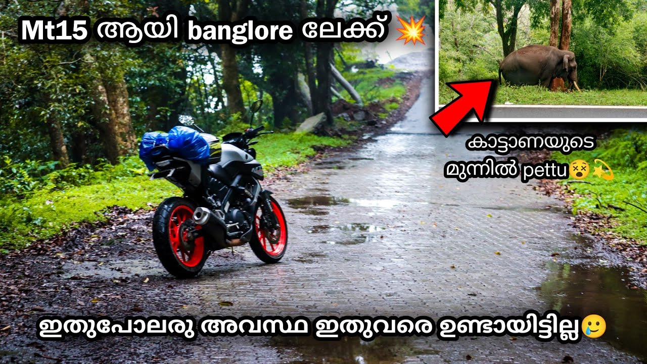 Elephant atacked me😰|| ആന കൂട്ടത്തിന്റെ മുന്നിൽ നിന്ന് രക്ഷപെട്ടു😵‍💫| 700 km solo ride