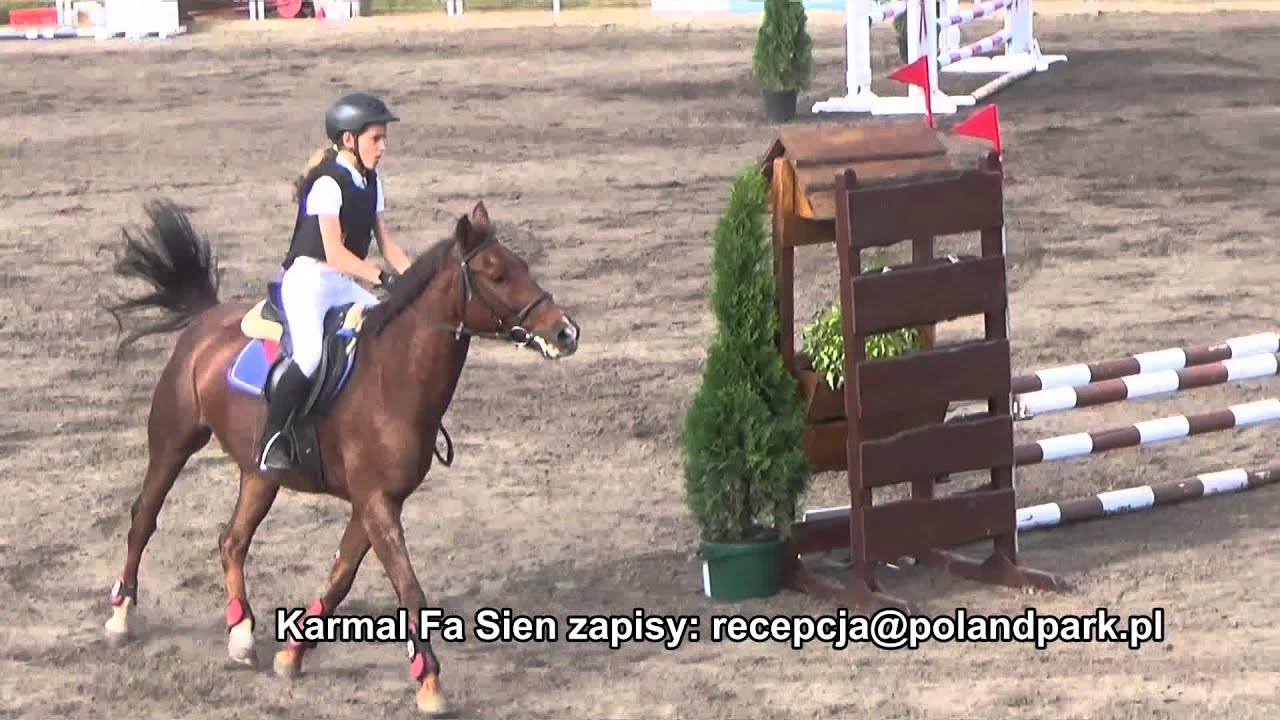 Konie SKJ Poland Park - Karmal Fa Sien - kuc grupy D