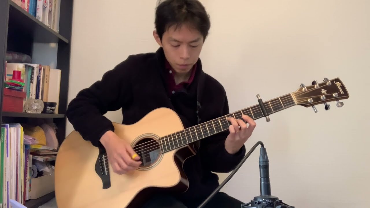 Beauty and the Beast 美女と野獣 Fingerstyle Guitar