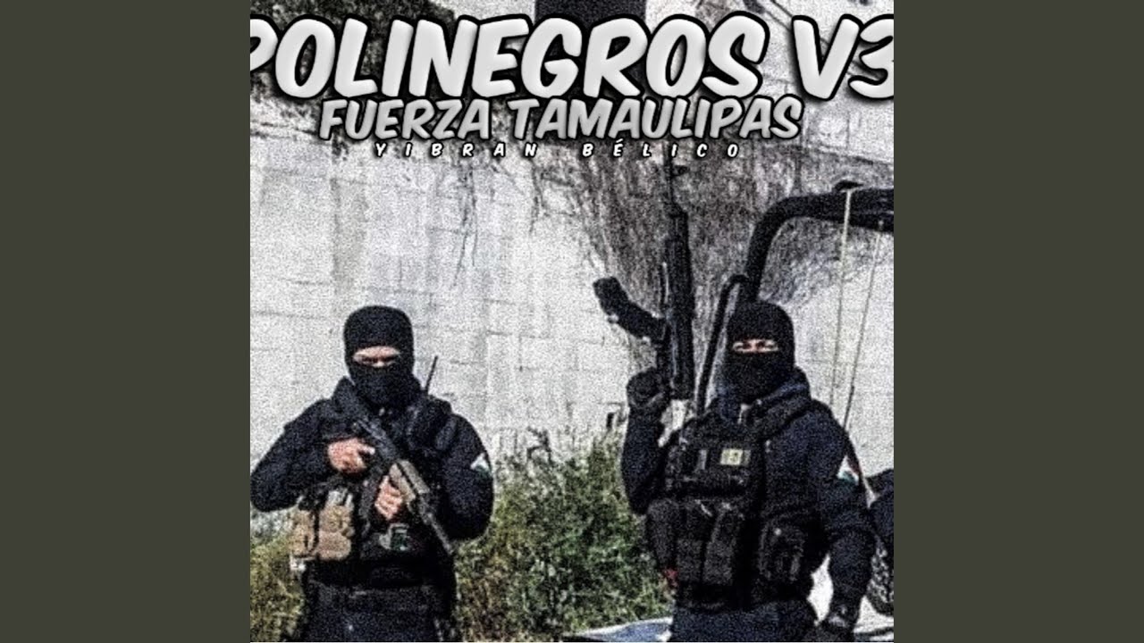 Polinegros V3 (Fuerza Tamaulipas)