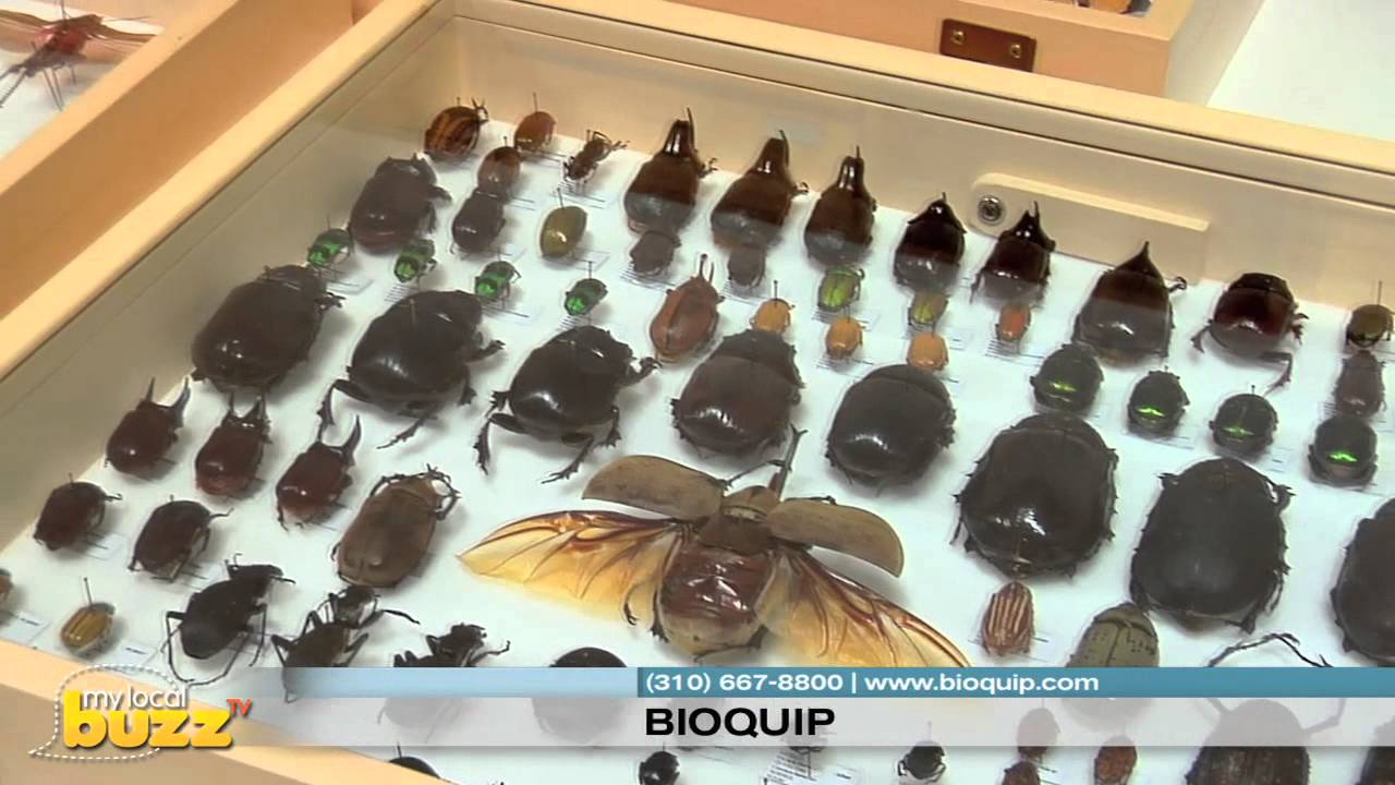 BioQuip Overview-Entomology Equipment