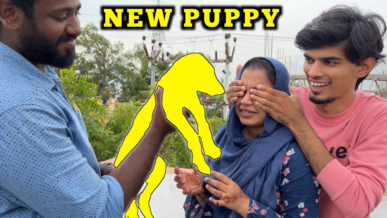 SURPRISING PAMI with a NEW PUPPY