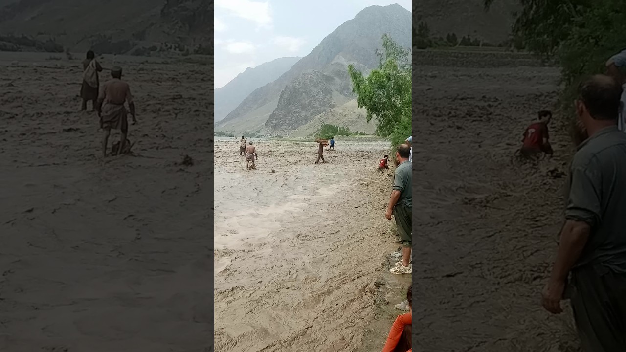 flooding video peoples collect the woods #flooding