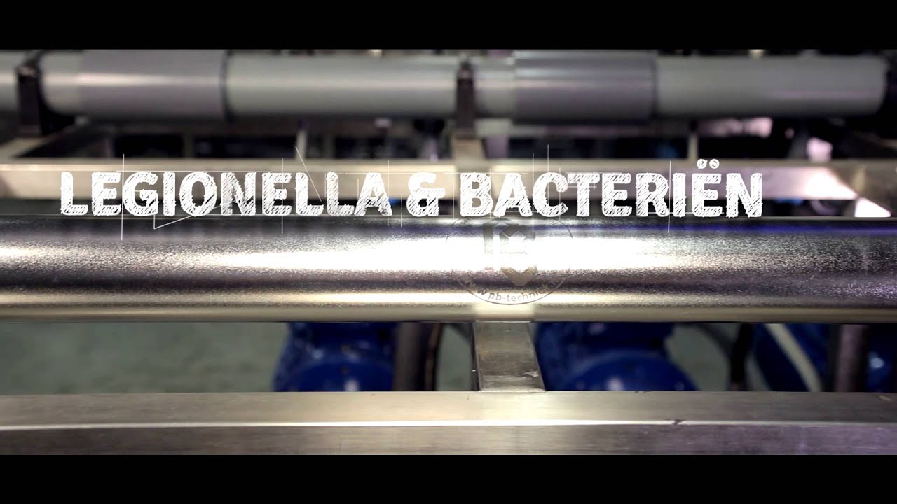 PBmist Ovata 2014