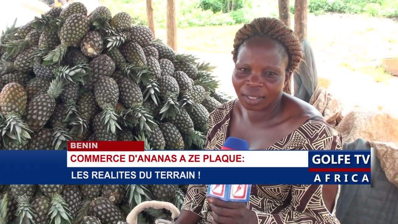 Commerce d'ananas à Zè plaque: Les réalités du terrain