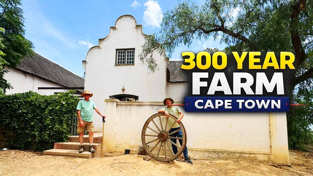 Cape Town’s Best Kept Secret? This Farm Blew Me Away!