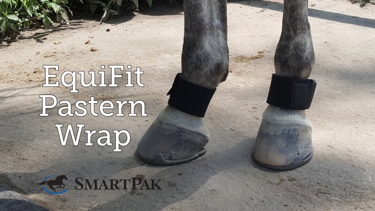 EquiFit Pastern Wrap Review