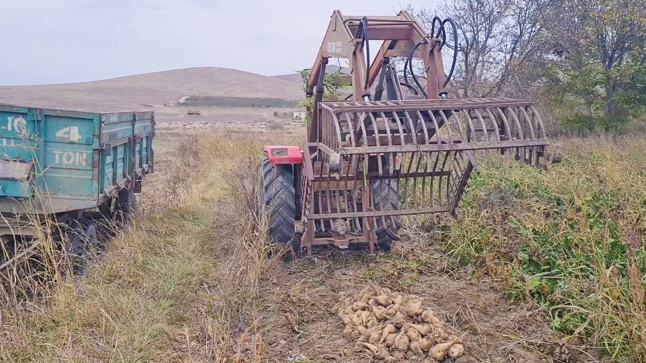 Massey Ferguson 255 Turbo ile Pancar Yükleme Kepçesi Kullanılır Mı?