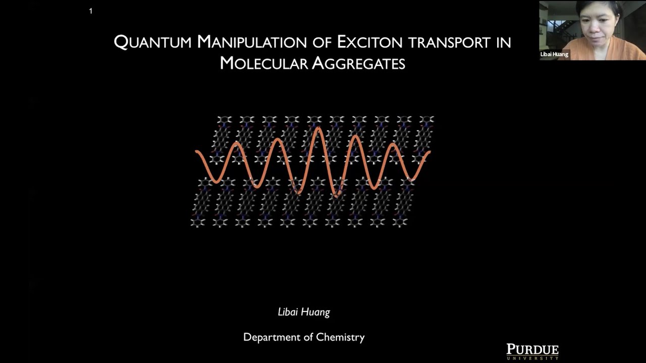 Quantum Manipulation of Exciton Transport in Molecular Aggregates - Libai Huang
