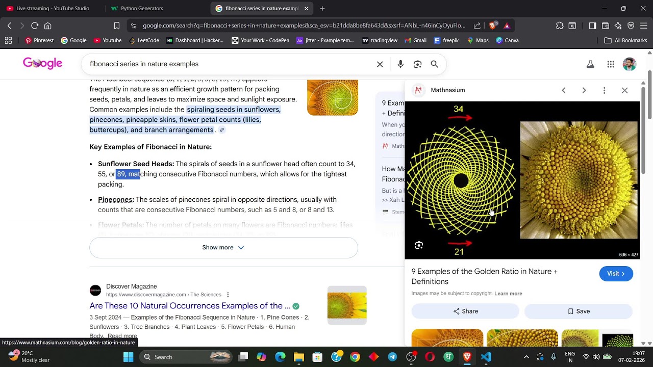 Learning AI From Zero – Python Basics | Live Study With Me | Day 7