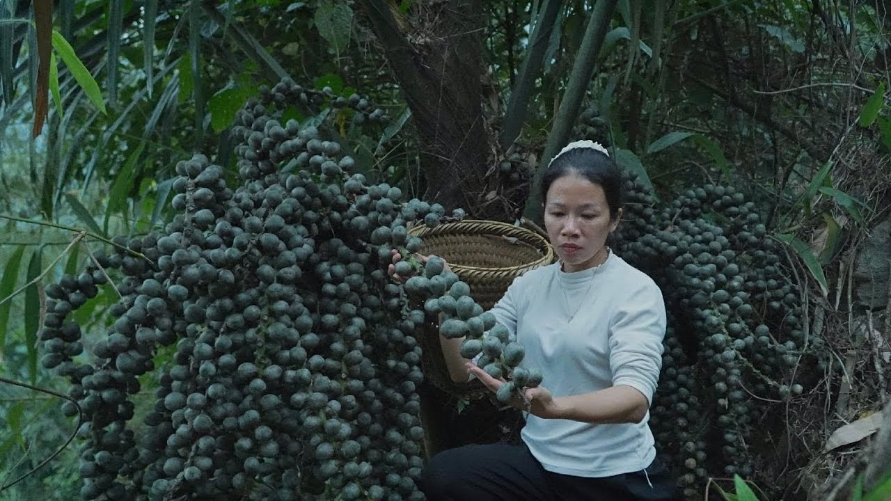 Uri needs to prepare for a shocking secret from his mother and his lover, Tu Tieu. L&yacute; Tử Ti&ecirc;u 