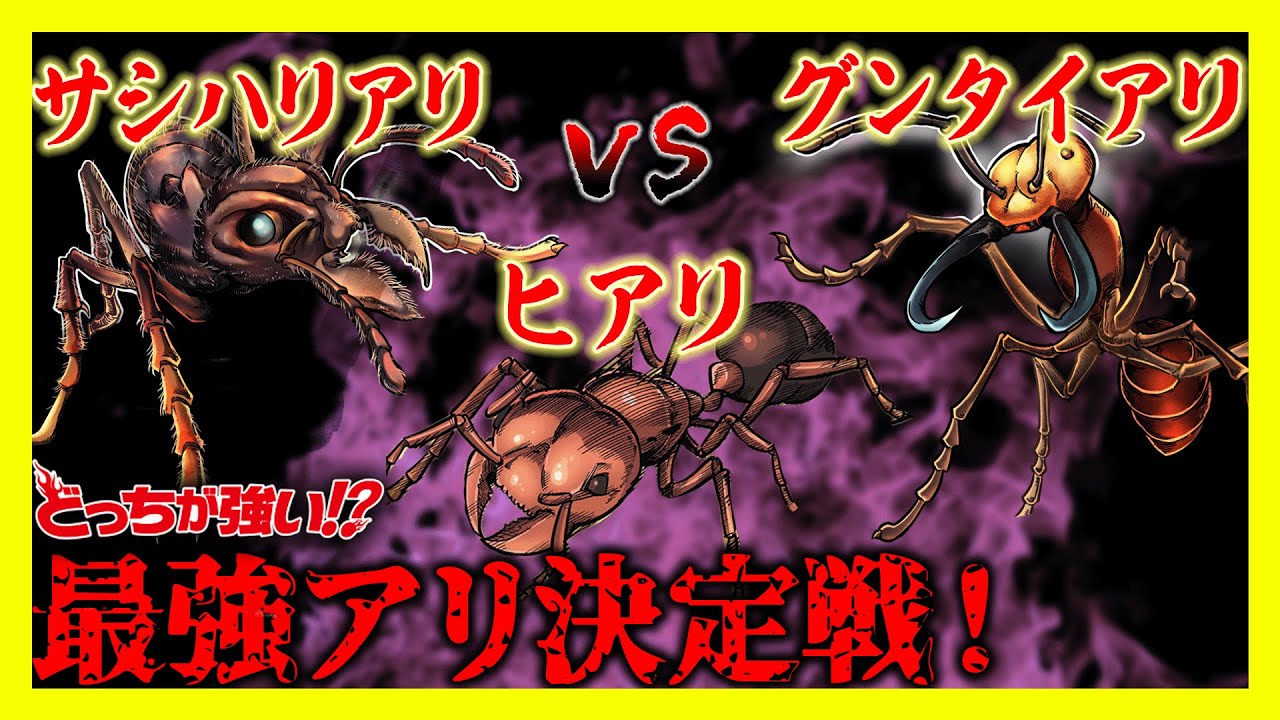 【どっちが強い】最強アリ決定戦！凶暴で獰猛なアリ達のバトルから目が離せない！【漫画】【対決】【昆虫】