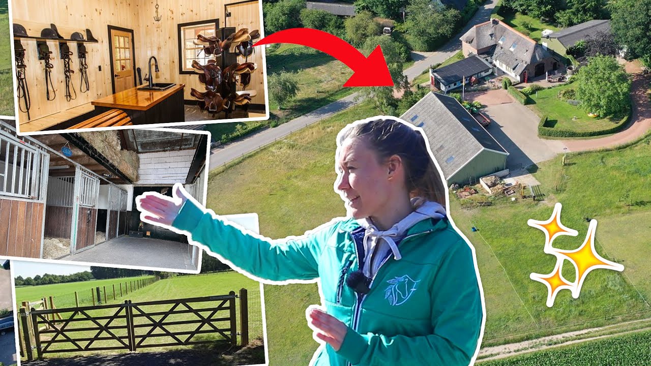 TOUR VAN ONZE STALLEN, WEIDE & HELE ERF (+ideeën) | felinehoi