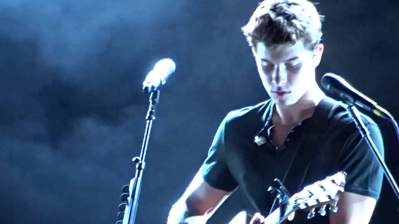 Shawn Mendes - Intro/Something Big at Wisconsin State Fair