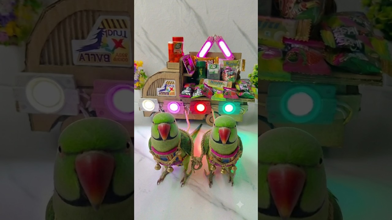 ✨ Amazing Cardboard Truck Shop Model Making with Working Lights | DIY Mini Market | #shorts
