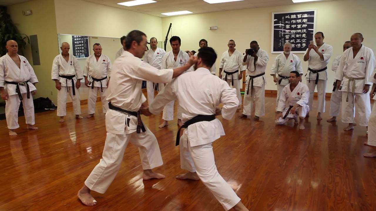 Osaka Shihon 8th Dan JKA Living Textbook of Karate