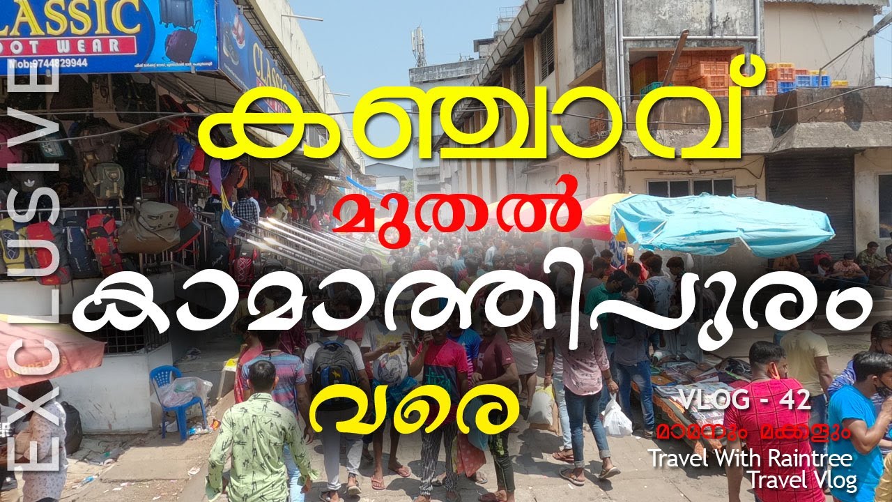 കഞ്ചാവ് മുതൽ കാമാത്തിപുരം വരെ l Perumbavoor Sunday Market l Bhai Market l Travel With Raintree EP:42