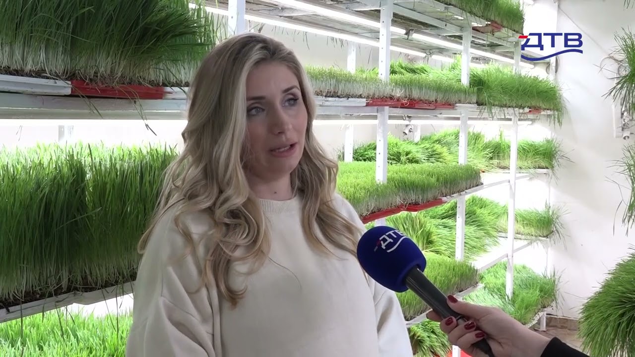 Od livade do bočice: moć koprive - DTV