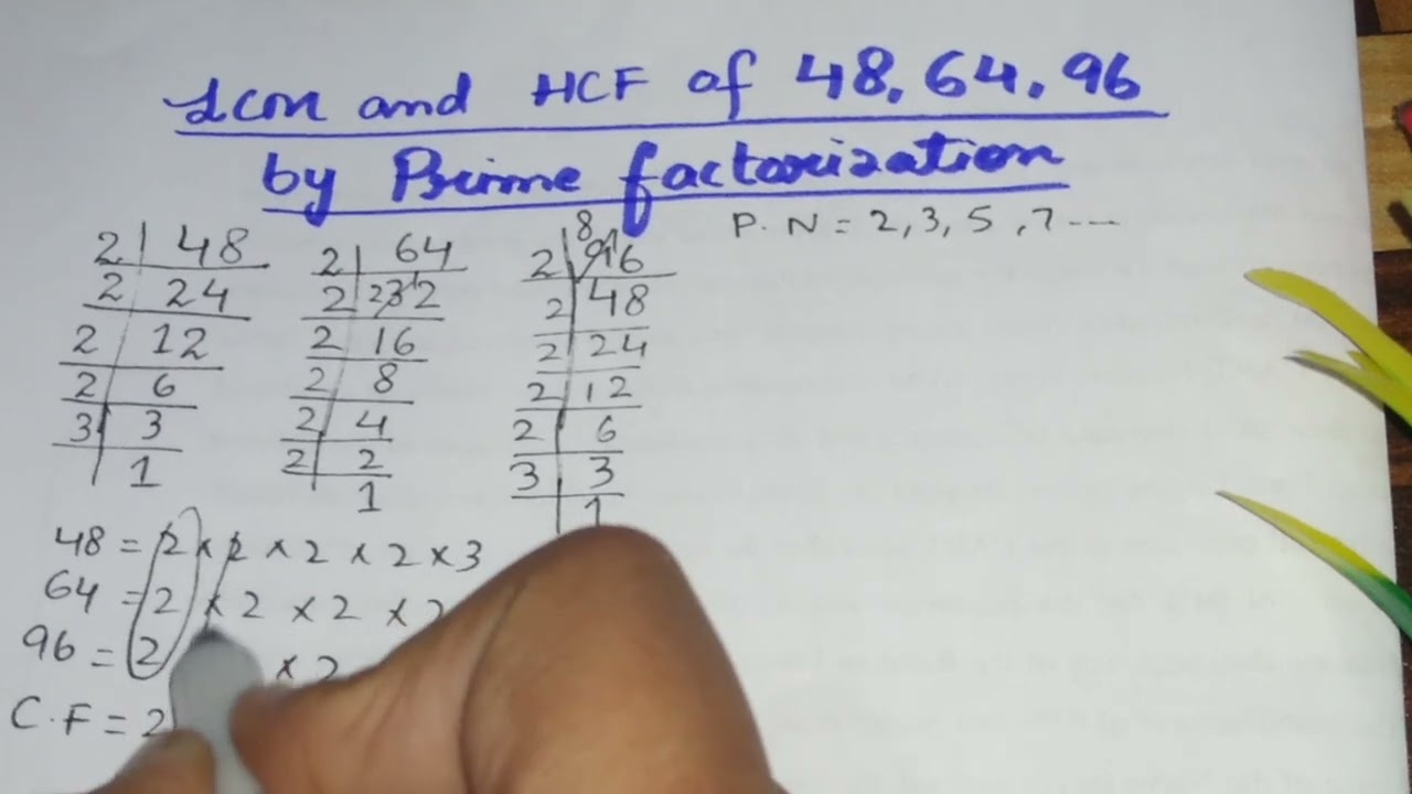 Lcm and Hcf of 48 64 96 | by prime factorization |  in Urdu/Hindi |