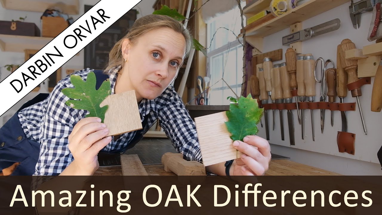 White Oak vs Red Oak // Cool Woodworking Facts