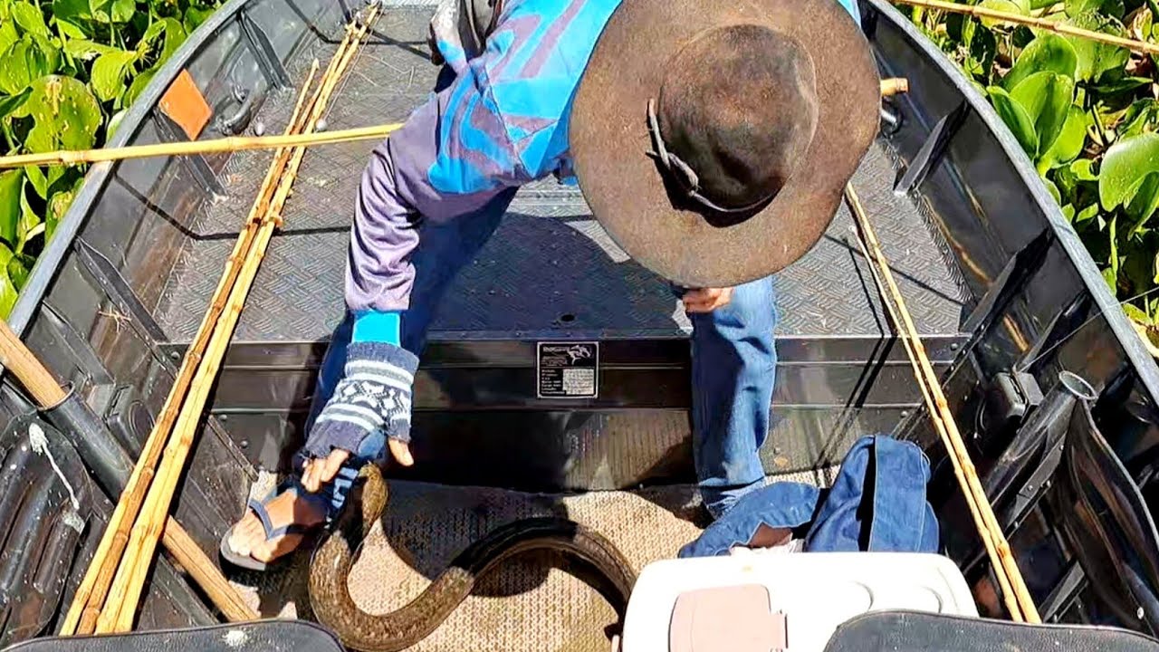 MUITA GENTE ABANDONARIA TUDO E SAIRIA CORRENDO , NUNCA VI DESSE TAMANHO./PESCARIA DE TRAÍRA GIGANTE.
