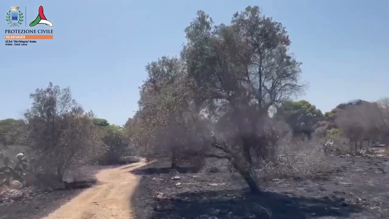 INCENDIO BOSCHIVO MONTAGNA SPACCATA/LIDO CONCHIGLIE 18/07/2023