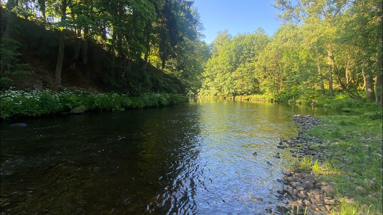 Mu&scaron;ka a vl&aacute;čka v Jizerk&aacute;ch! 🎣