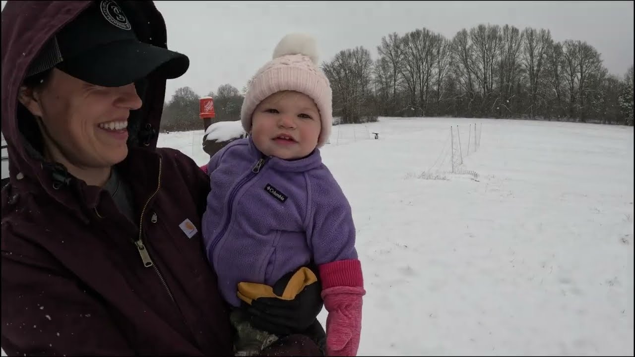 Видеоблог «Снежные дни»