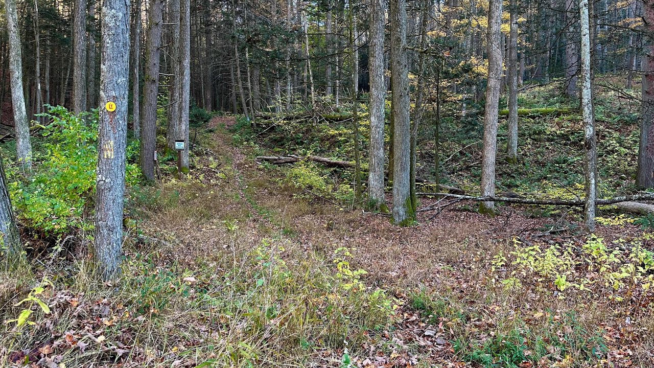 Short Hike Along Pete&rsquo;s Hollow