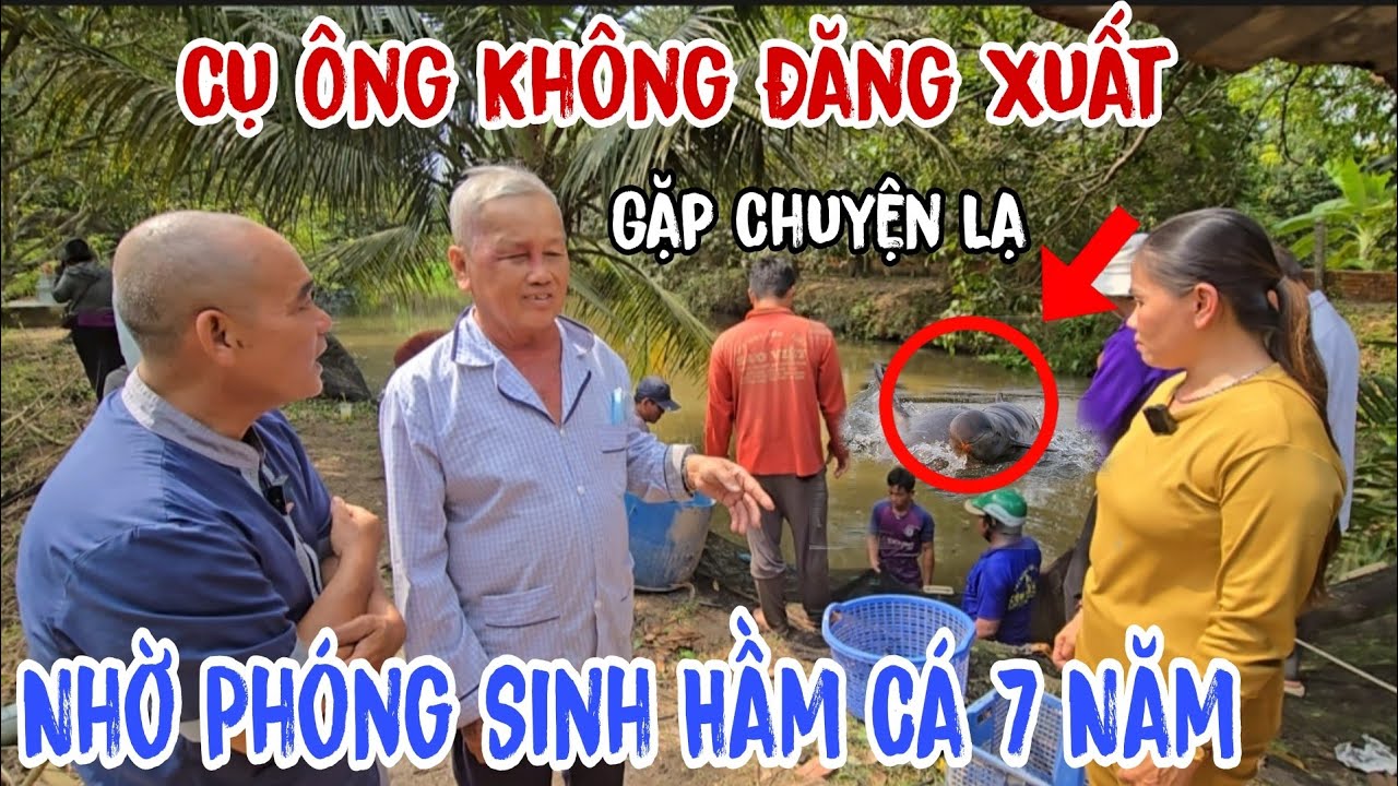 Chuyện lạ - Cụ Ông không Đăng Xuất 👉 nhờ Phóng Sinh hầm cá 7 Năm nuôi nhốt | Châu Phú Area 51 Thiên