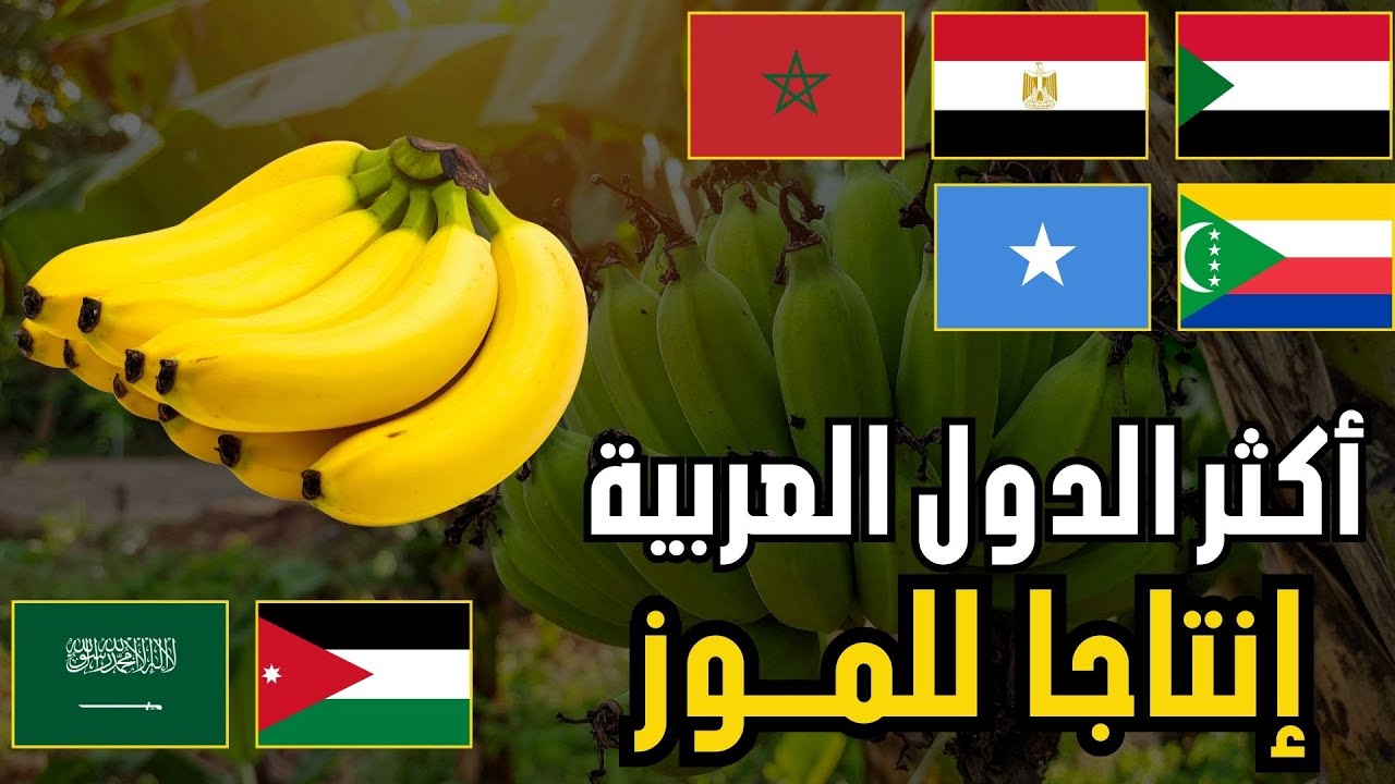 🍌 من يتصدر إنتاج الموز في الدول العربية؟|  ترتيب الدول العربية حسب إنتاج الموز(تقرير الفاو 2026)