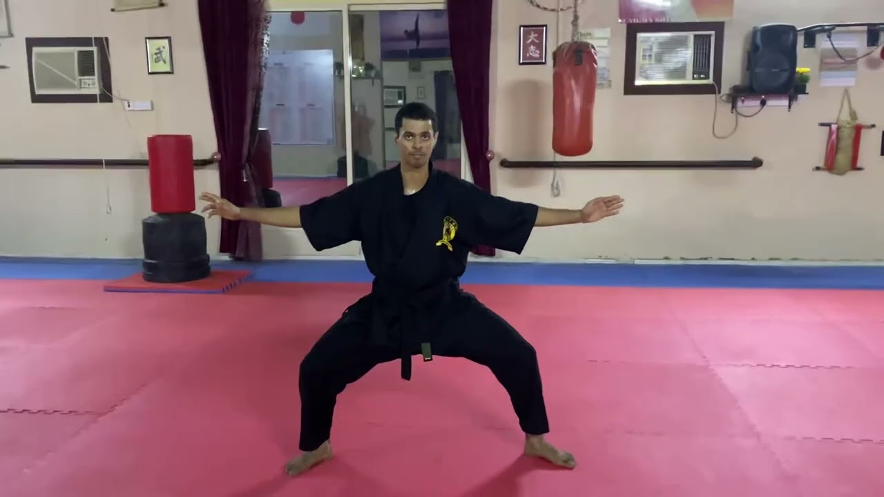 10- الدحرجة الجانبية - يوكو كايتين (سوكوهو كايتين) Abdullah Minor