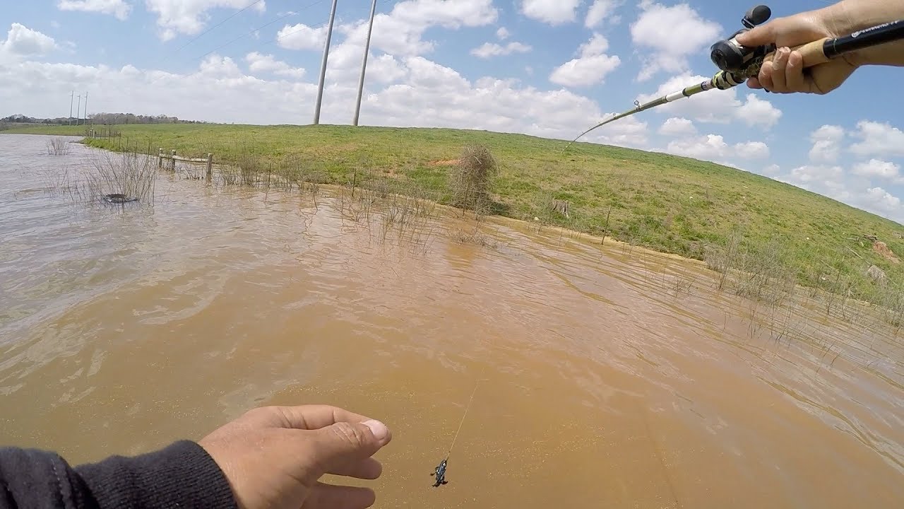 Torneo de Pesca de Bass en Aguas Turbias 2019