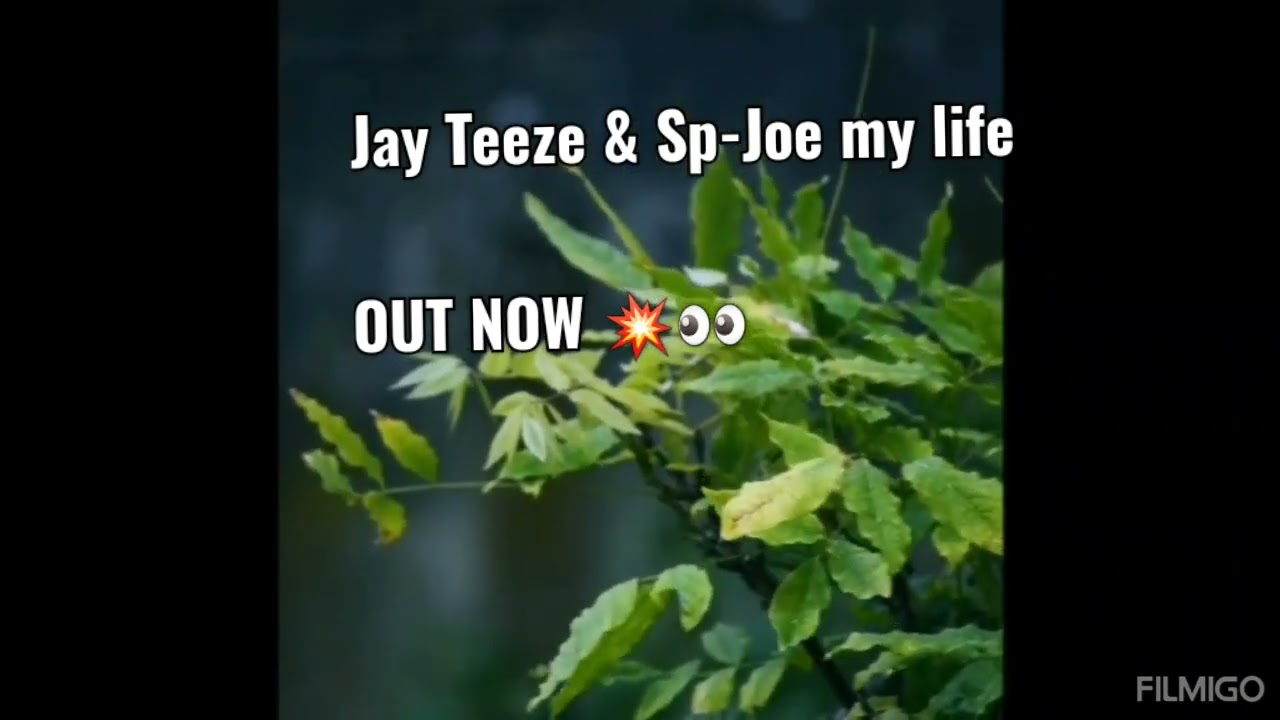 Jay Teeze Zm