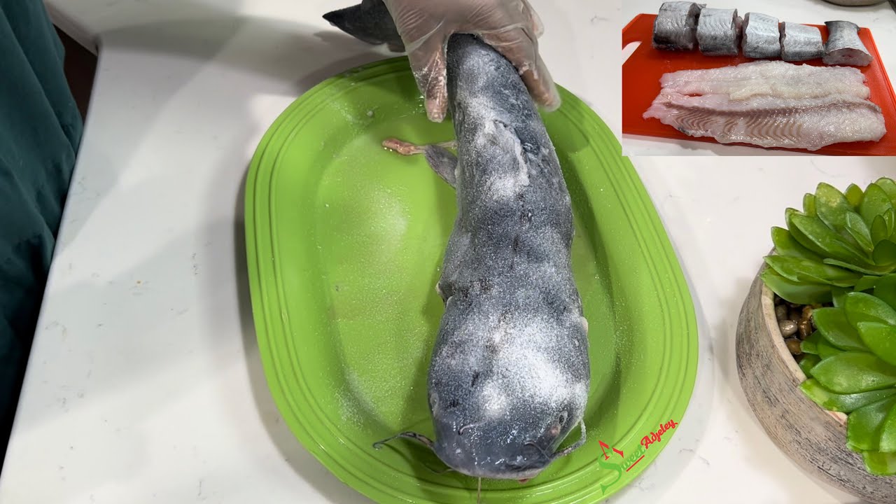 HOW TO CLEAN, CUT, FILLET & SKIN A GIANT CATFISH