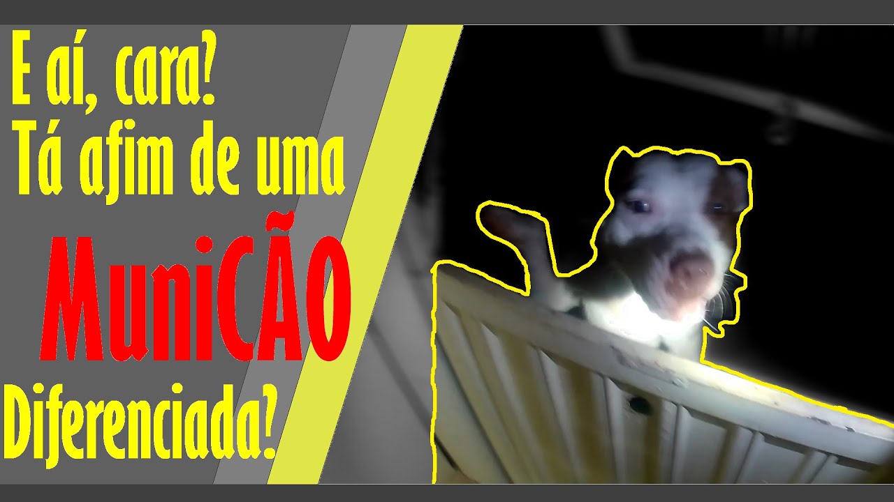 Denúncia de disparo + Perturbação do sossego.
