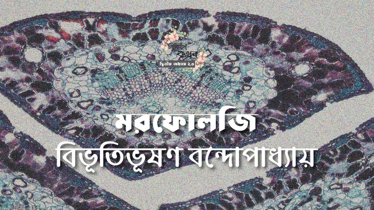 মরফোলজি | বিভূতিভূষণ বন্দ্যোপাধ্যায় | Bibhutibhushan Bandyopadhyay | বাংলা গল্প