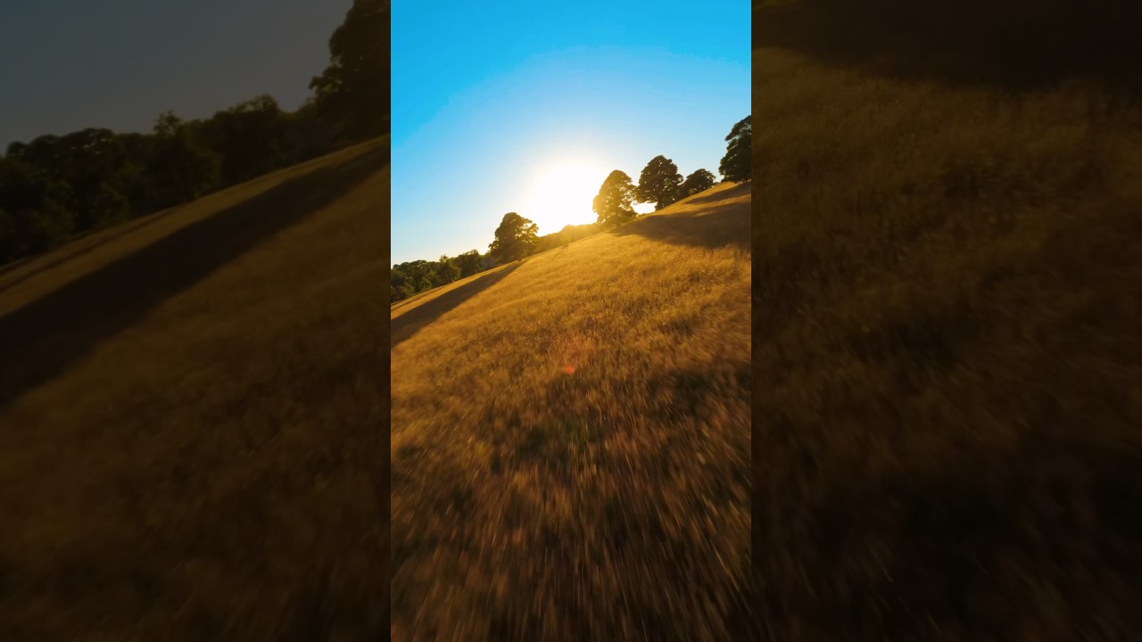 Golden hour in the English countryside ☀️🌾 