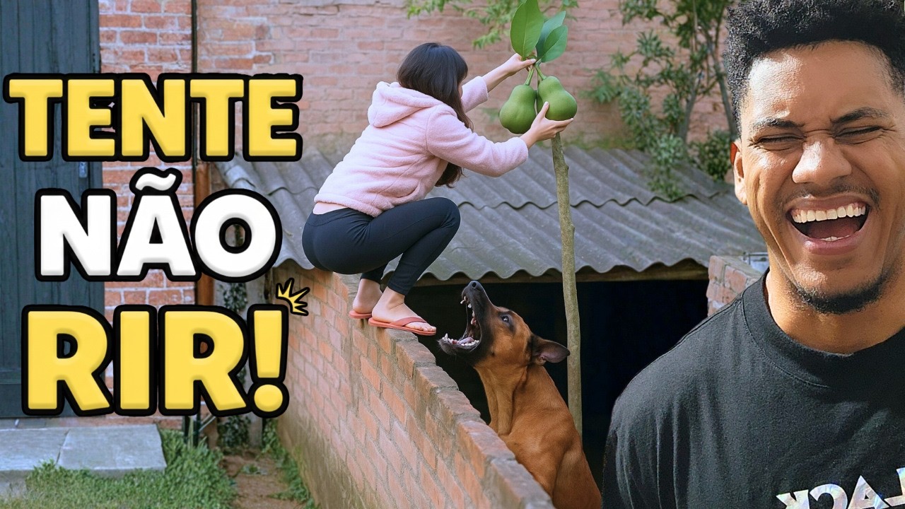🔴RETROSPECTIVA 2025 - VÍDEOS MAIS ENGRAÇADOS DE MAIO E JUNHO - TENTE NÃO RIR 🔴