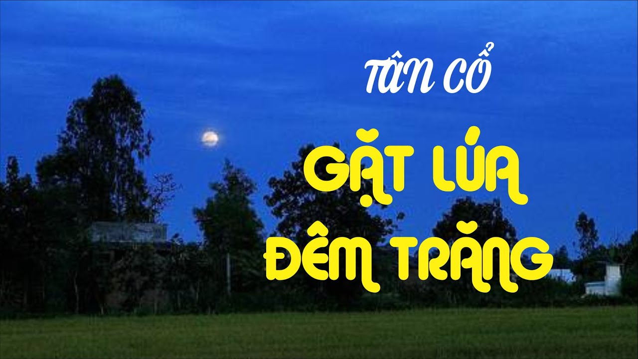 TÂN CỔ : GẶT LÚA ĐÊM TRĂNG | D .M .Đ | TÁC GIẢ : SÂU XANH