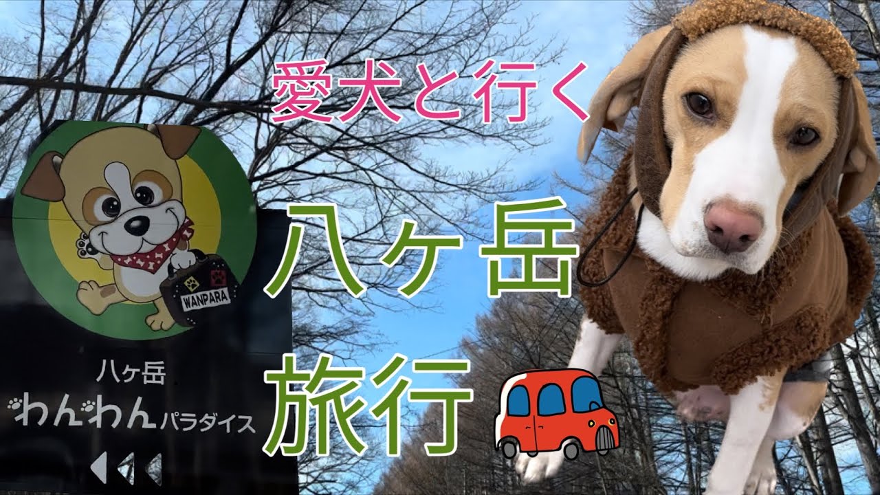 いさきと旅行〜八ヶ岳わんわんパラダイス〜