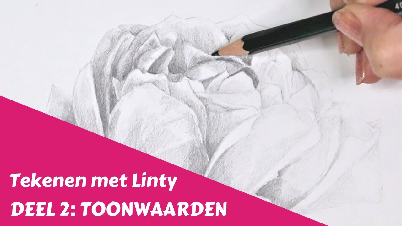 LEREN TEKENEN VOOR BEGINNERS: Toonwaarden en schaduw