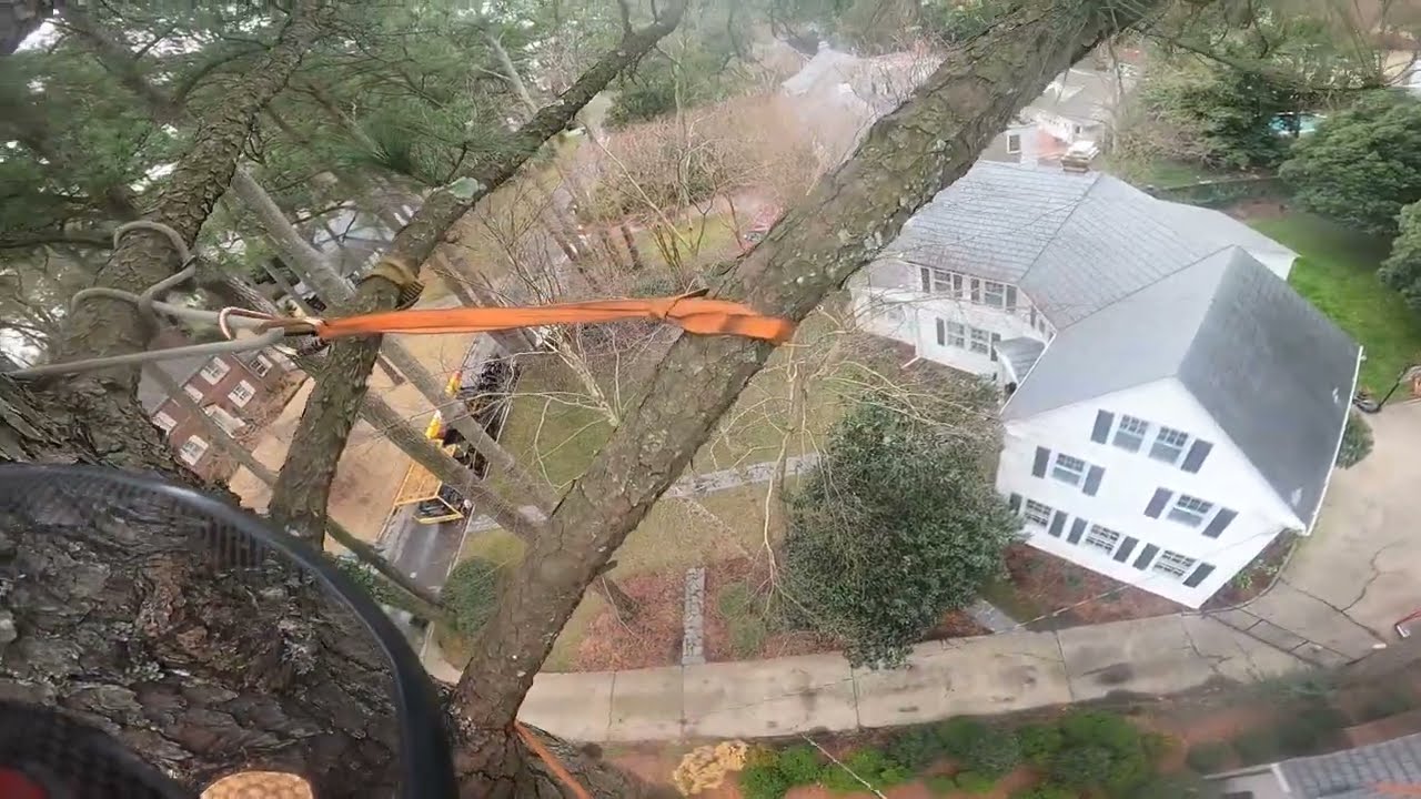 Rigging Between Trees &ndash; Then We Let It Fly!