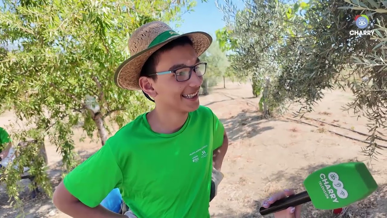 El huerto ecológico de Asprodisis, protagonista del programa 'Ronda Actual' de Canal Charry.