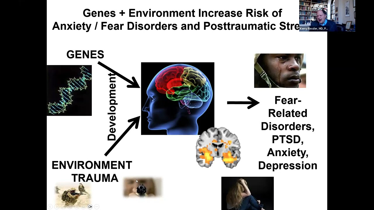 Fear and PTSD: Translation from Genomics to Circuits to Clinical Practice with Kerry Ressler