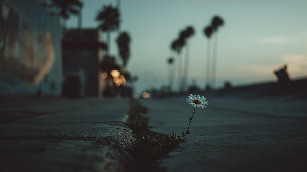 Daisy Bloom Vol.3 | Nighttime Boom Bap 🌙 | Boom Bap Beats for Cruising, Reflecting, and Vibing