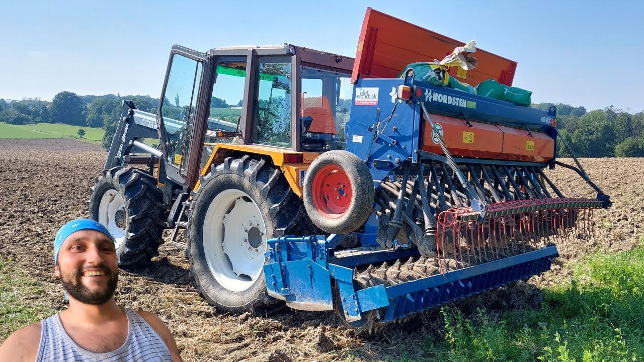 Siejemy poplon po pszenicy w uprawie bezorkowej